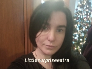 Littlesurpriseestra