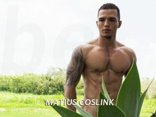 MATIUS_COSLINK