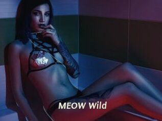MEOW_Wild