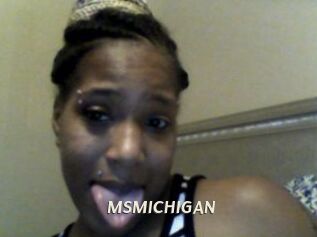 MSMICHIGAN