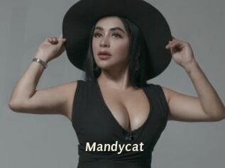 Mandycat