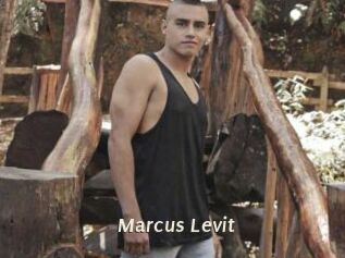 Marcus_Levit