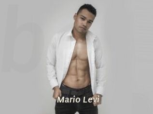 Mario_Levi