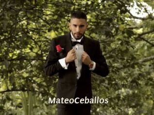 MateoCeballos