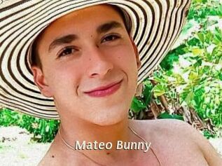 Mateo_Bunny