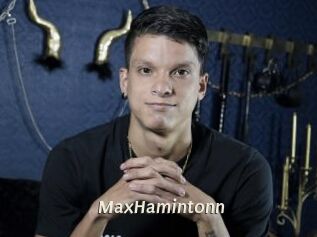 MaxHamintonn