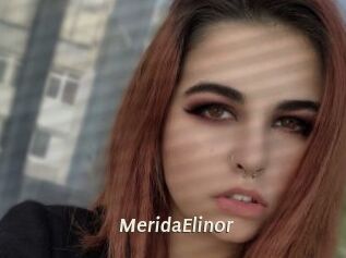MeridaElinor Blog éjac