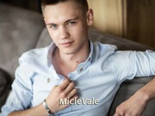MicleVale Blog éjac