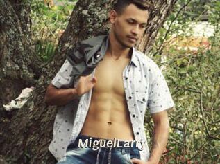 MiguelLarry