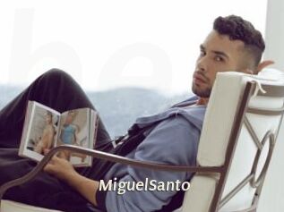 MiguelSanto