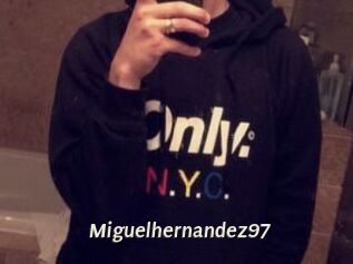 Miguel_hernandez97