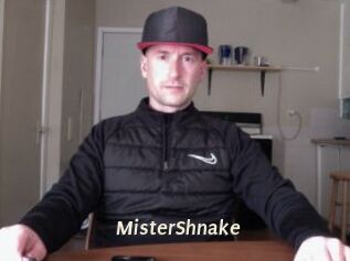 MisterShnake