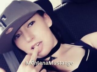MontanaMustange