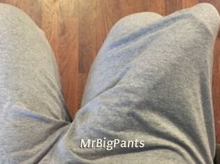 MrBigPants