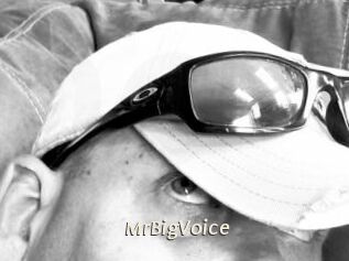 MrBigVoice