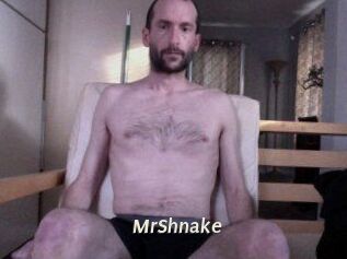 MrShnake