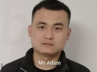 Mr_Adam