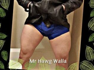 Mr_Hawg_Walla