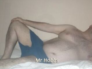 Mr_Hobbs