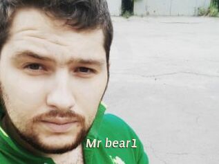 Mr_bear1