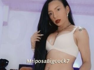MriposaBigcock7 Blog éjac