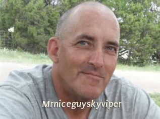 Mrniceguyskyviper
