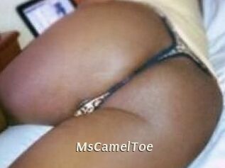 MsCamelToe