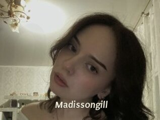 Madissongill