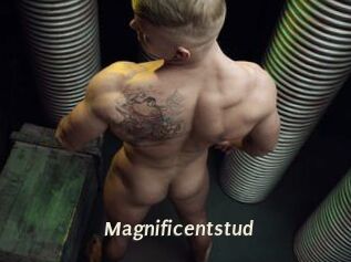 Magnificentstud