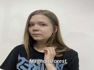 Magnoliaforest