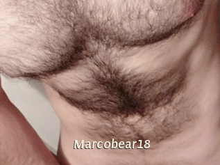 Marcobear18