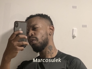 Marcosulek