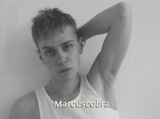 Marcuscobra