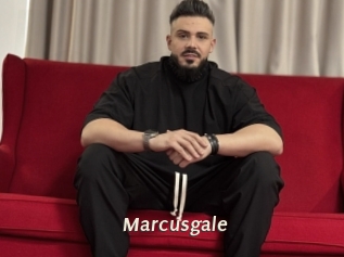 marcusgale Blog éjac