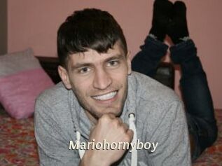 Mariohornyboy