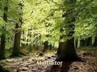Martiaitor
