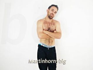 Martinhornybig