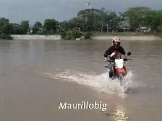 Maurillobig