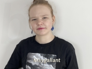 Maygallant