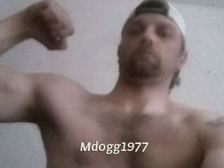 mdogg1977 Blog éjac