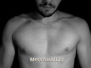 Mecchaud123