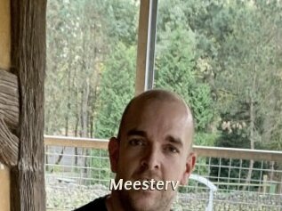 Meesterv