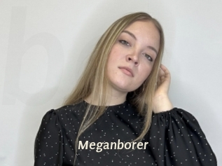 Meganborer