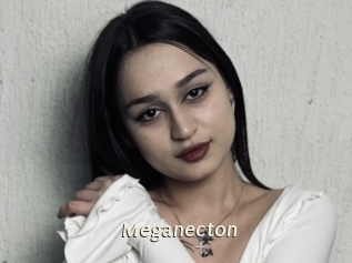 meganecton Blog éjac