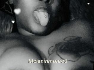 Melaninmonro3