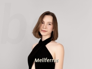 mellferras Blog éjac