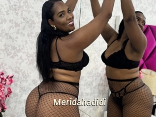 meridahadidi Blog éjac