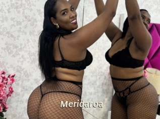Meridaroa