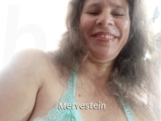 Mervestein