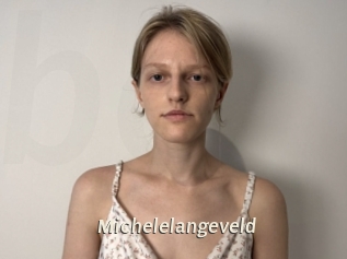 Michelelangeveld